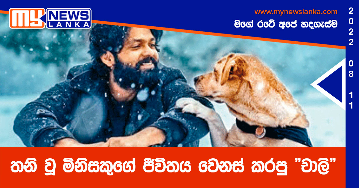 තනි වූ මිනිසකුගේ ජීවිතය වෙනස් කරපු “චාලි”