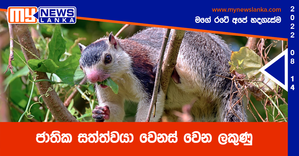 ජාතික සත්ත්වයා වෙනස් වෙන ලකුණු