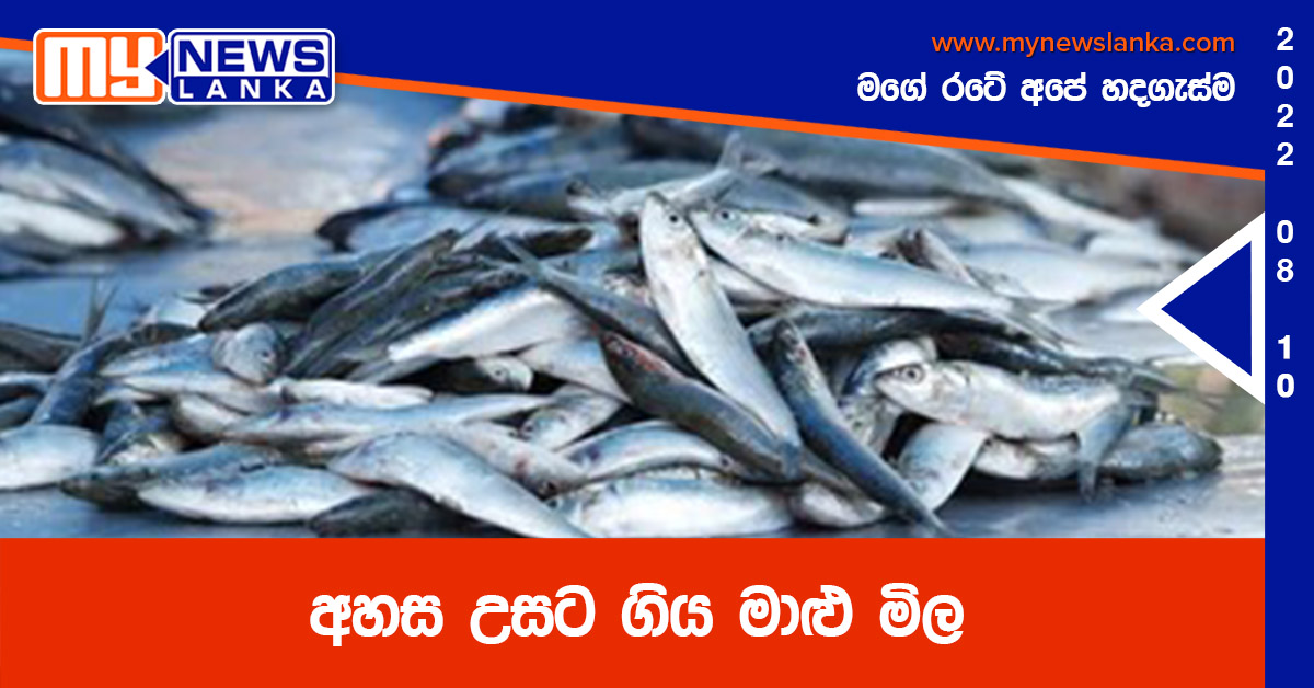 අහස උසට ගිය මාළු මිල