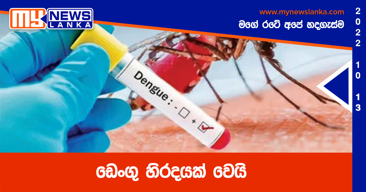 ඩෙංගු හිරදයක් වෙයි