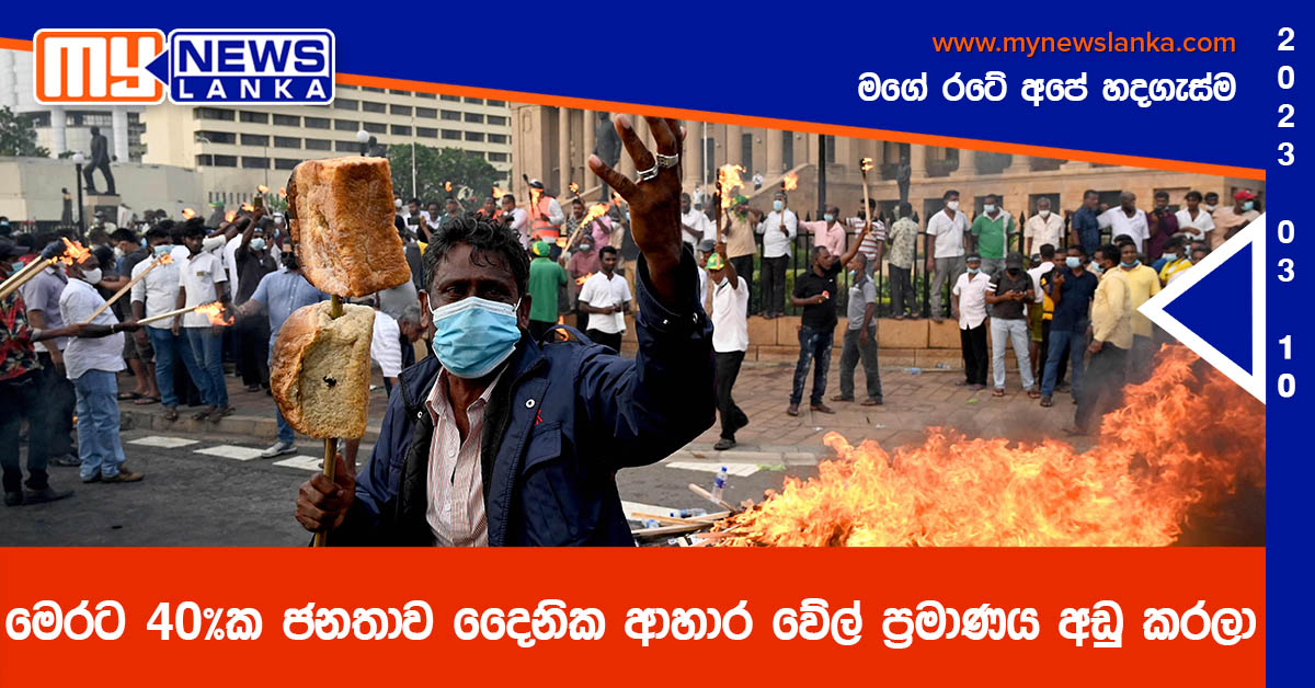 මෙරට 40%ක ජනතාව දෛනික ආහාර වේල් ප්‍රමාණය අඩු කරලා