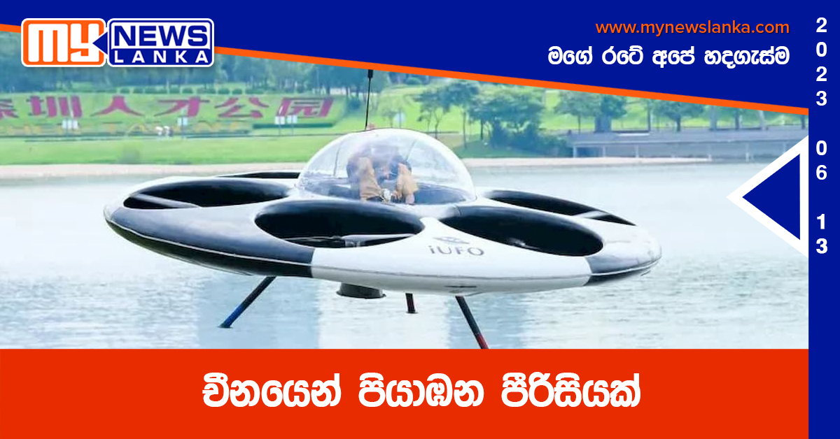 චීනයෙන් පියාඹන පීරිසියක්