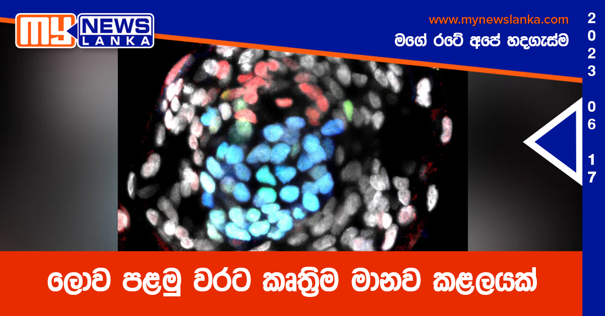 ලොව පළමු වරට කෘත්‍රිම මානව කළලයක්