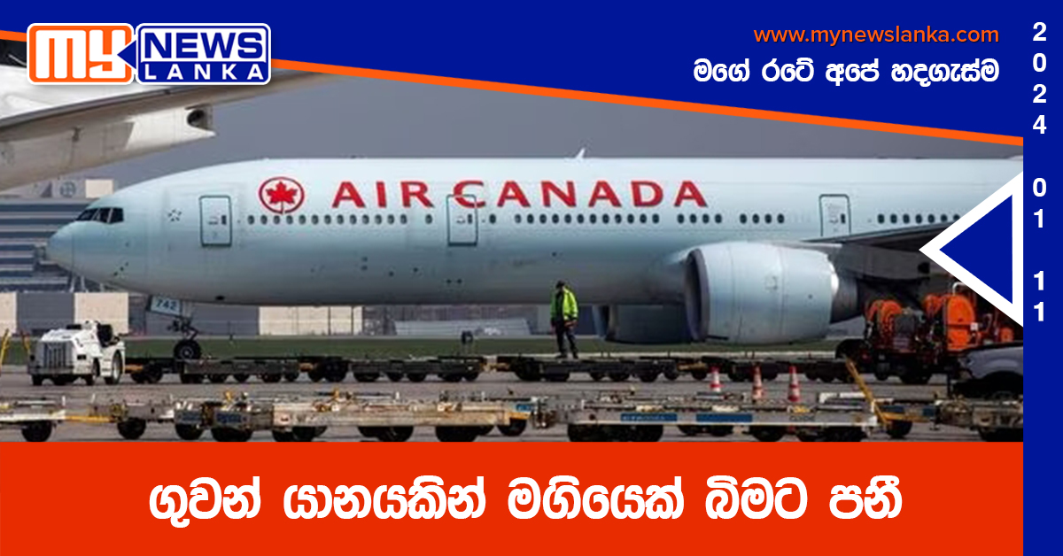 ගුවන් යානයකින් මගියෙක් බිමට පනී