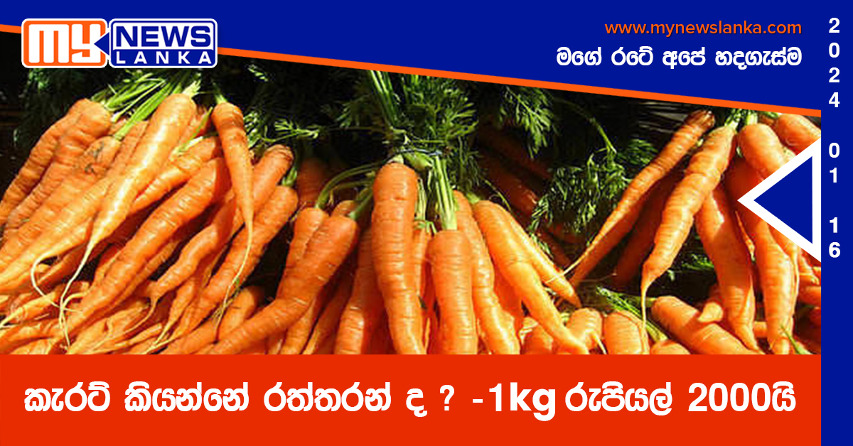 කැරට් කියන්නේ රත්තරන් ද ? -1kgක් රුපියල් 2000යි කැරට් කියන්නේ රත්තරන් ද ? -1kgක් රුපියල් 2000යි