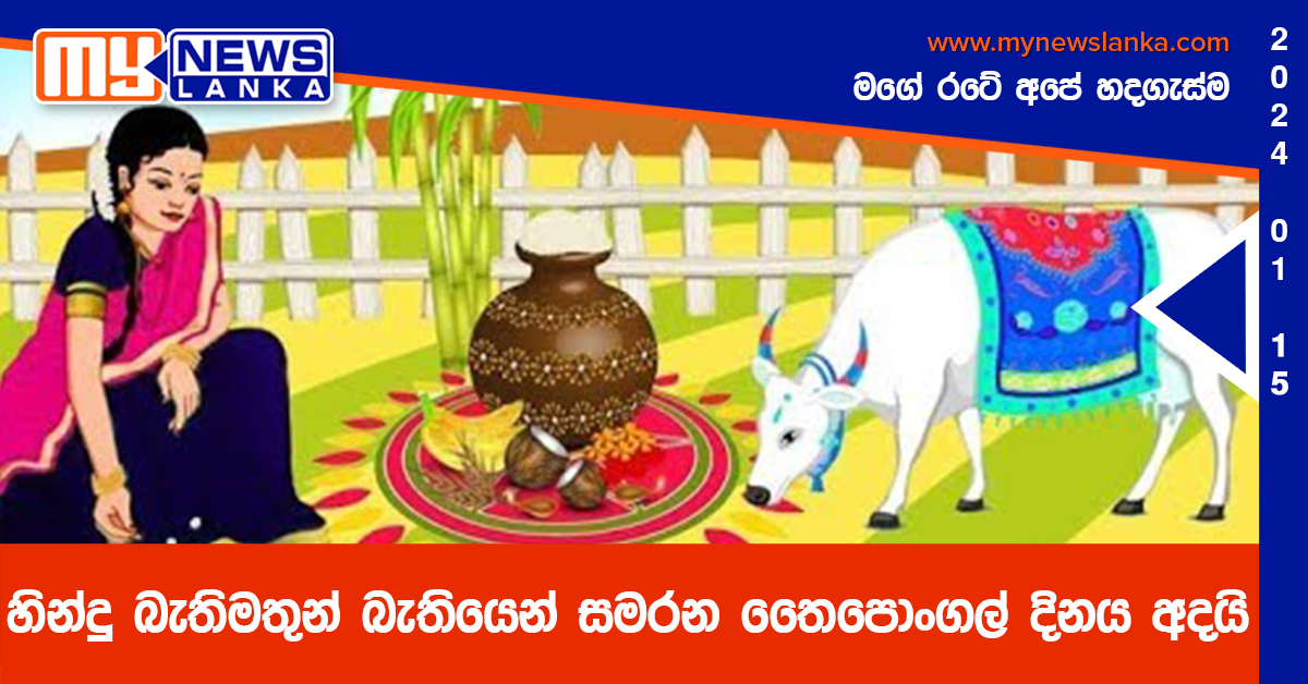 හින්දු බැතිමතුන් බැතියෙන් සමරන තෛපොංගල් දිනය අදයි හින්දු බැතිමතුන් බැතියෙන් සමරන තෛපොංගල් දිනය අදයි