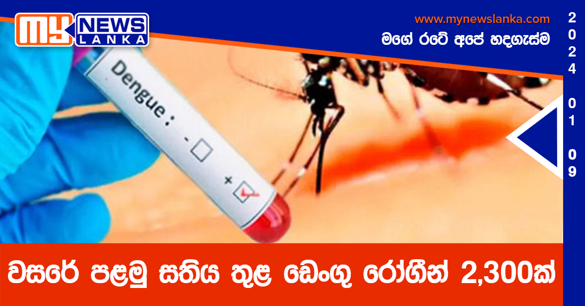 වසරේ පළමු සතිය තුළ ඩෙංගු රෝගීන් 2,300ක්