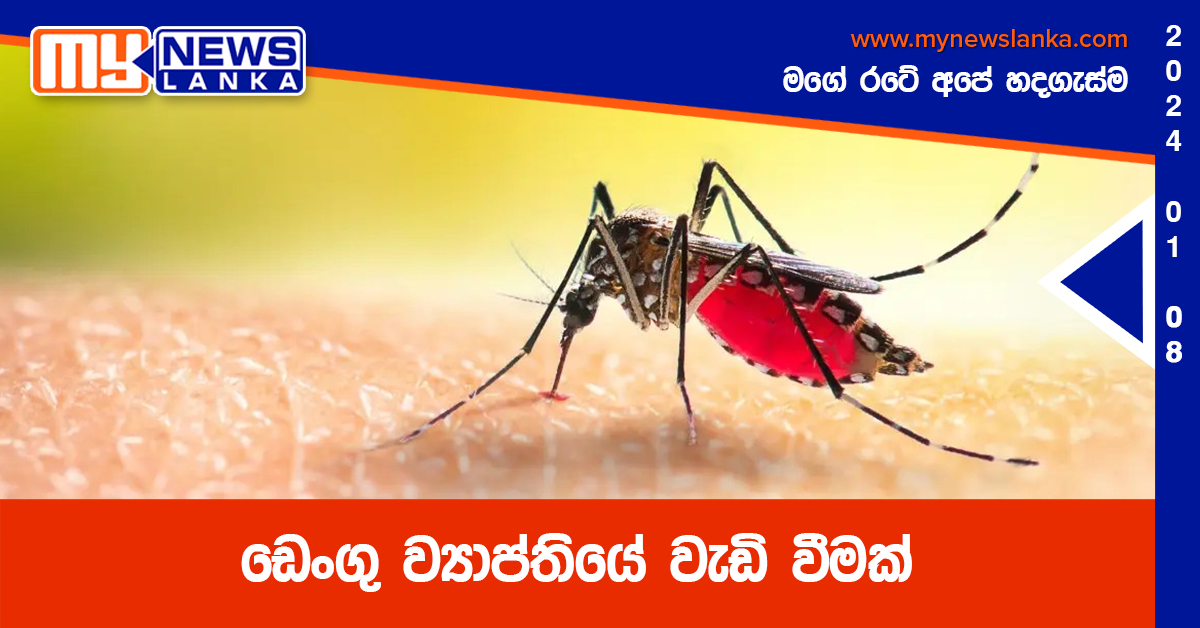 ඩෙංගු ව්යාප්තියේ වැඩි වීමක් ඩෙංගු ව්යාප්තියේ වැඩි වීමක්