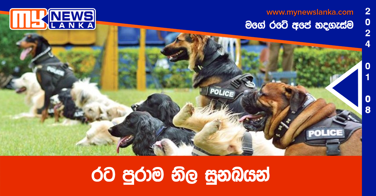 රට පුරාම නිල සුනඛයන්