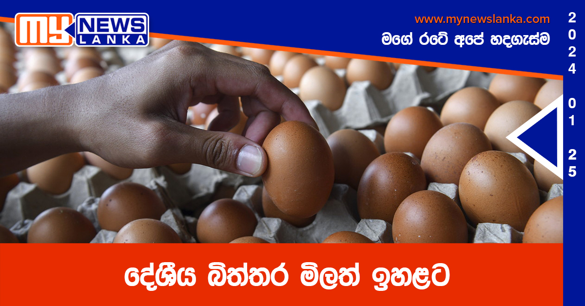 දේශීය බිත්තර මිලත් ඉහළට
