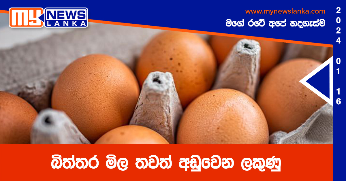 බිත්තර මිල තවත් අඩුවෙන ලකුණු
