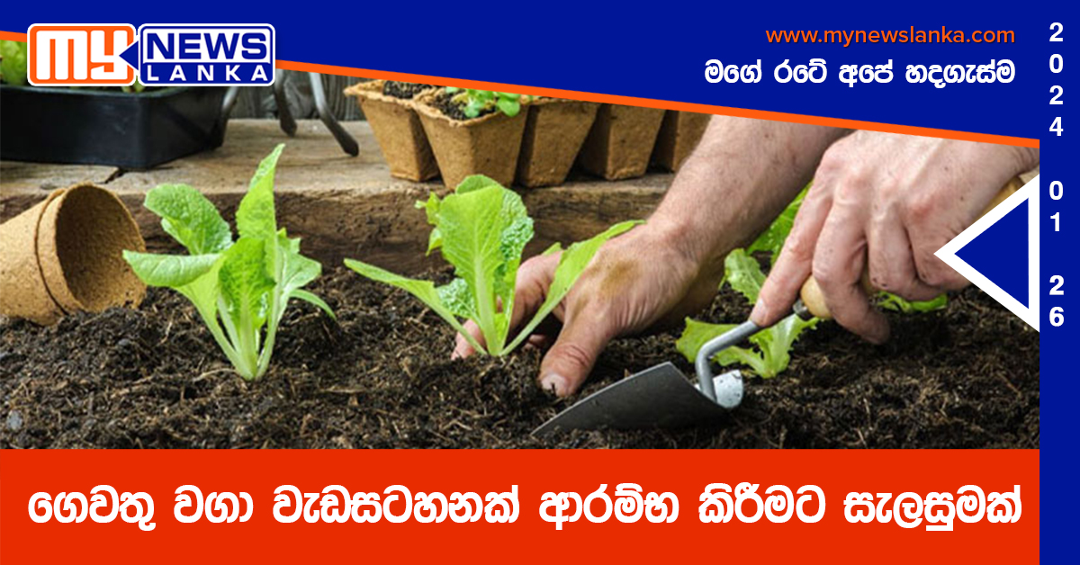 ගෙවතු වගා වැඩසටහනක් ආරම්භ කිරීමට සැලසුමක්