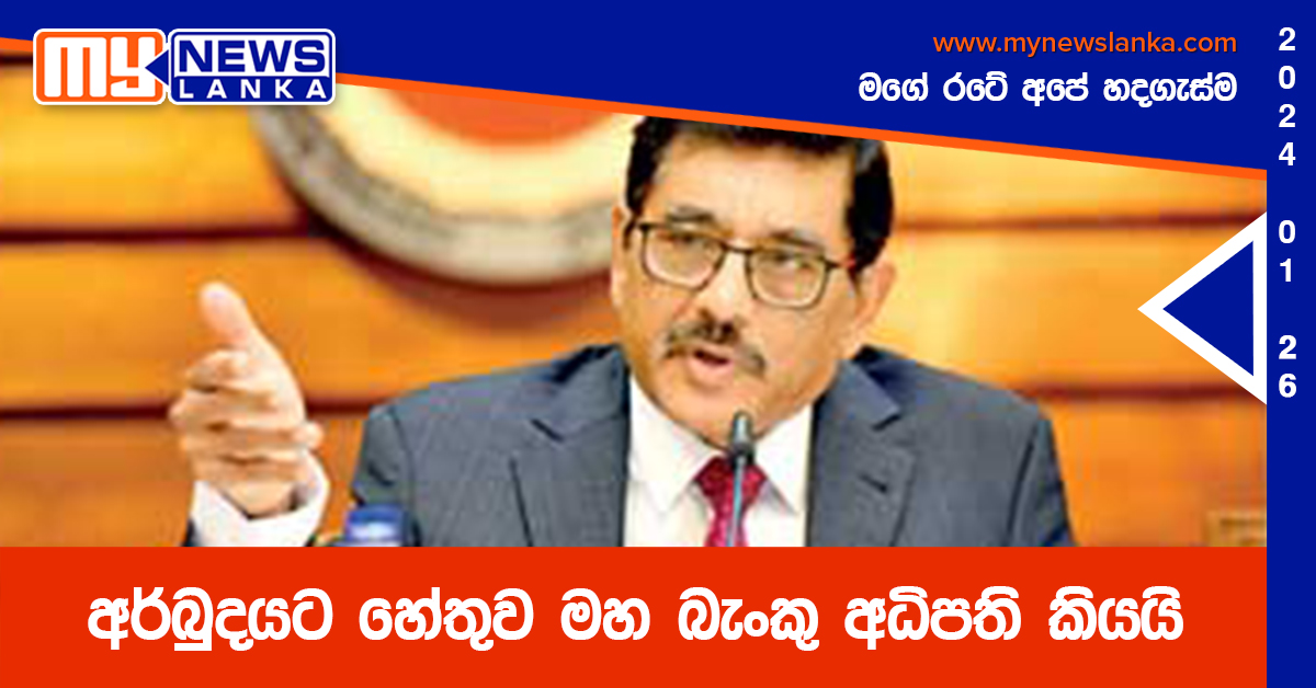 අර්බුදයට හේතුව මහ බැංකු අධිපති කියයි