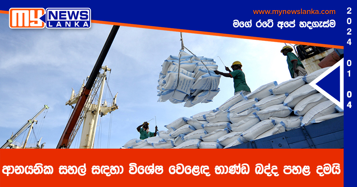 ආනයනික සහල් සඳහා විශේෂ වෙළෙඳ භාණ්ඩ බද්ද පහළ දමයි