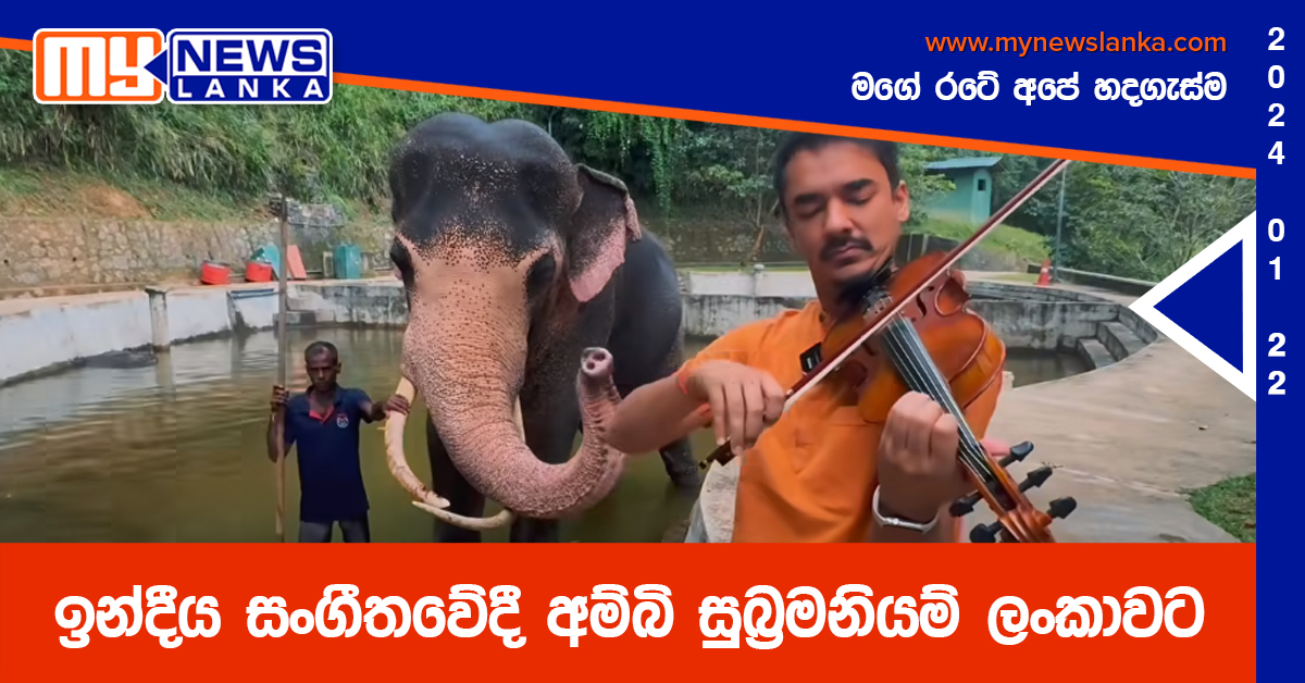 ඉන්දීය සංගීතවේදී අම්බි සුබ්රමනියම් ලංකාවට ඉන්දීය සංගීතවේදී අම්බි සුබ්රමනියම් ලංකාවට
