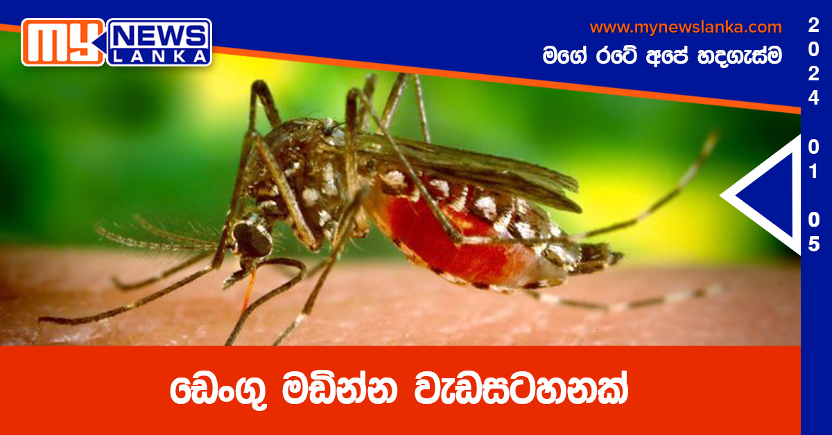 ඩෙංගු මඩින්න වැඩසටහනක්