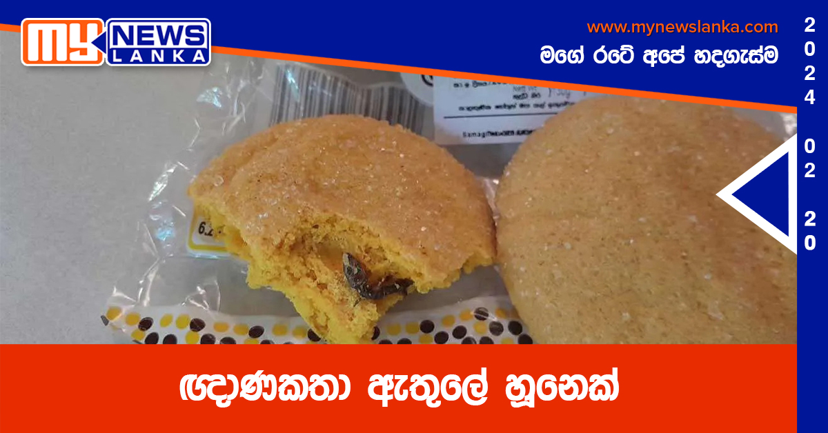 ඥාණකතා ඇතුලේ හූනෙක්