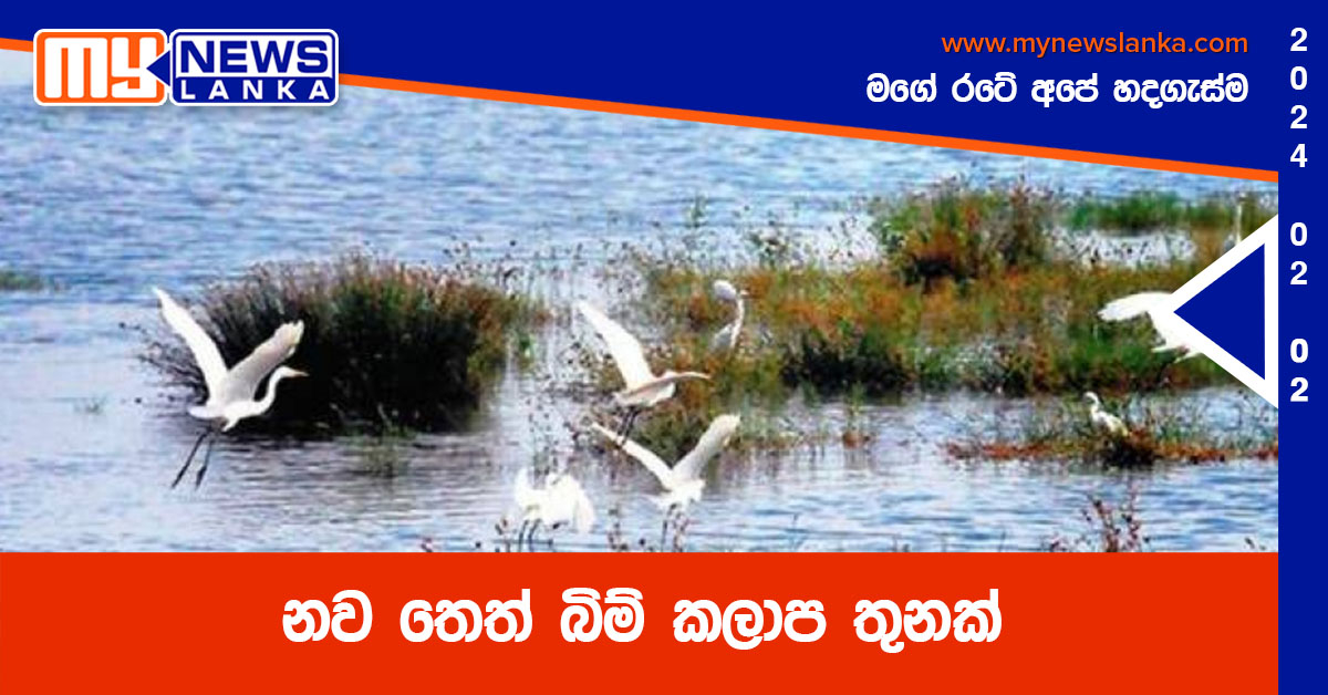 නව තෙත් බිම් කලාප තුනක් නව තෙත් බිම් කලාප තුනක්
