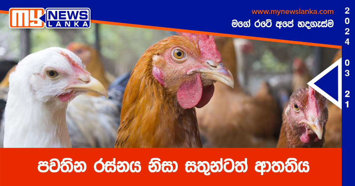 පවතින රස්නය නිසා සතුන්ටත් ආතතිය
