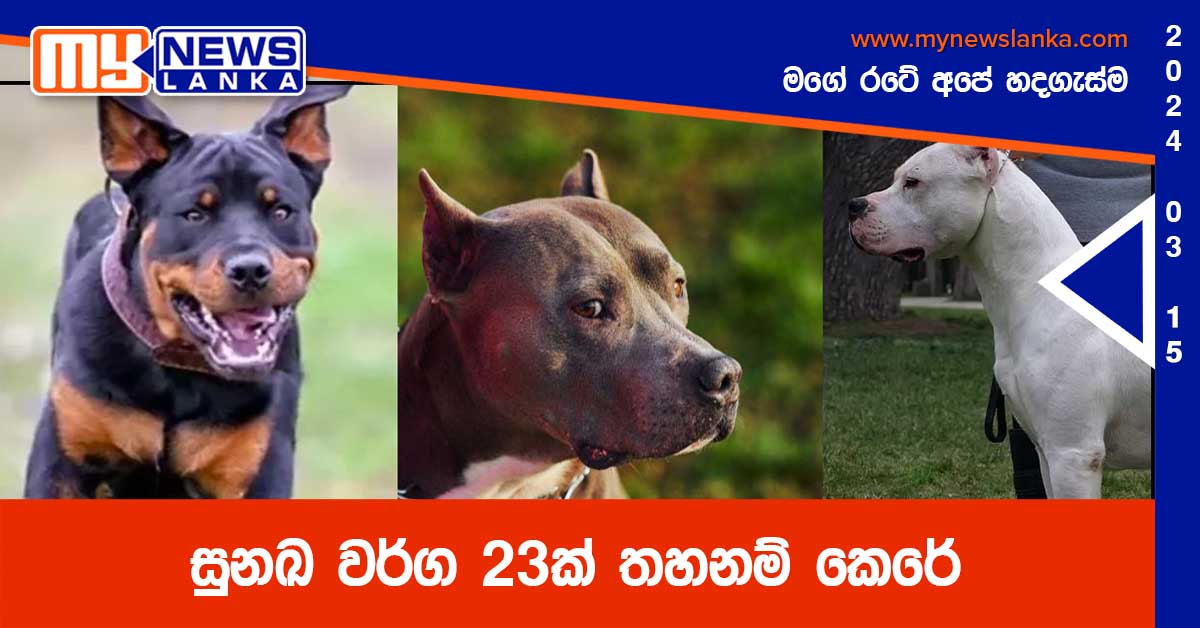 සුනඛ වර්ග 23ක් තහනම් කෙරේ