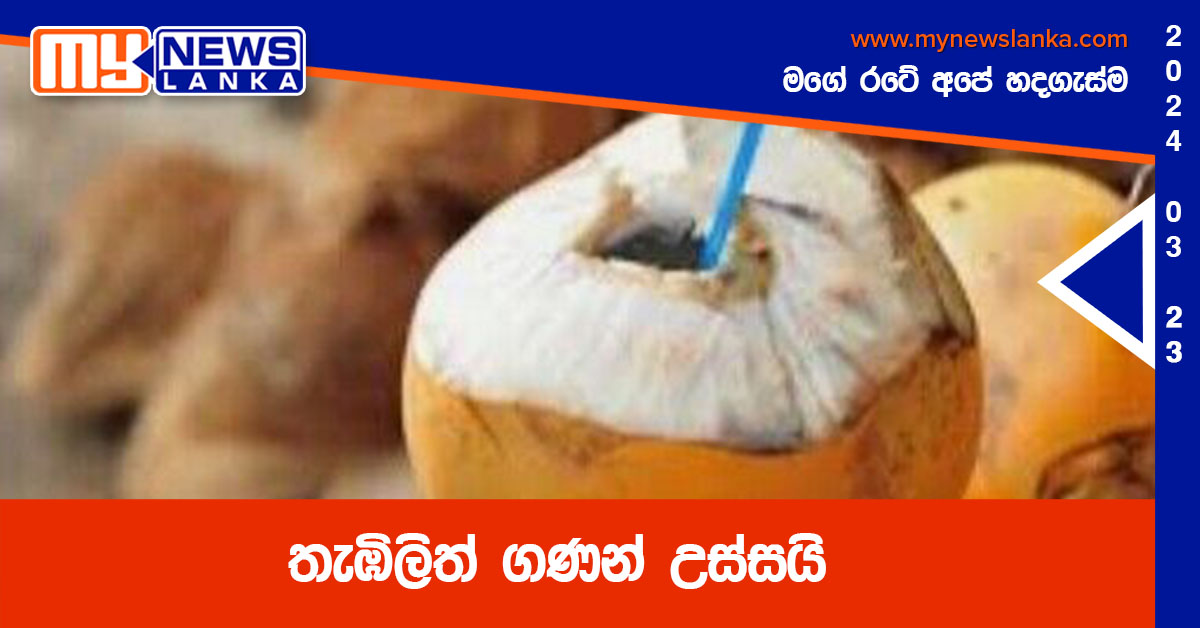 තැඹිලිත් ගණන් උස්සයි