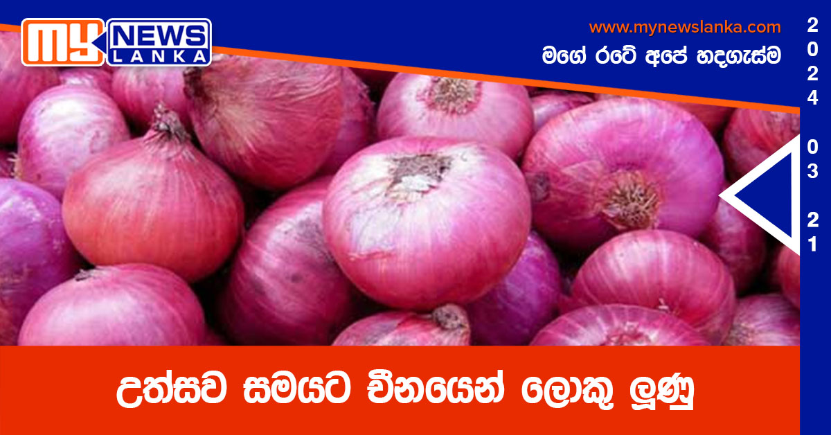 උත්සව සමයට චීනයෙන් ලොකු ලූණු