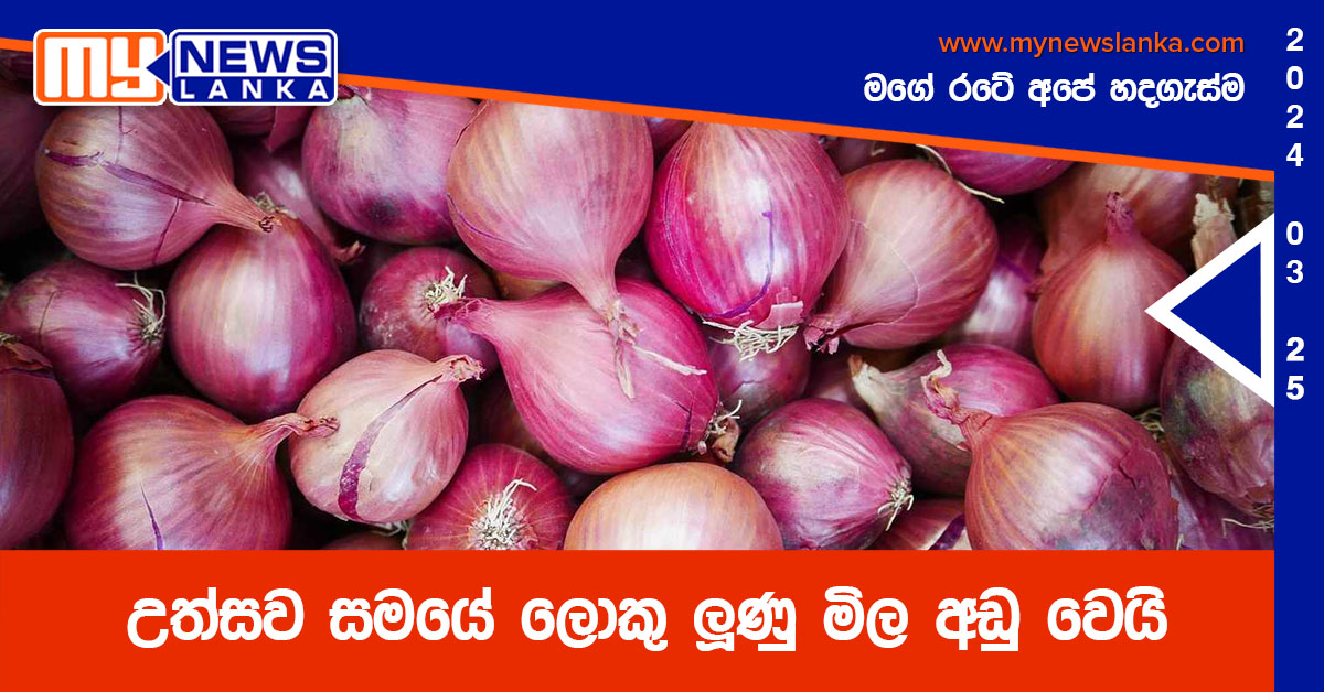 උත්සව සමයේ ලොකු ලූණු මිල අඩු වෙයි උත්සව සමයේ ලොකු ලූණු මිල අඩු වෙයි