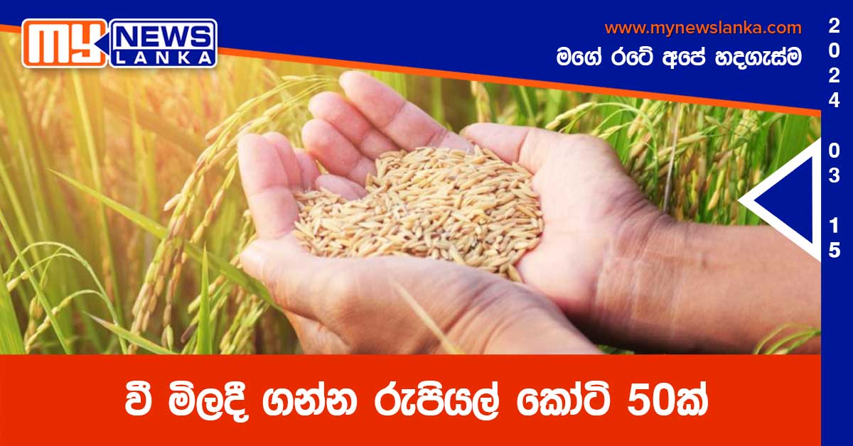 වී මිලදී ගන්න රුපියල් කෝටි 50ක් වී මිලදී ගන්න රුපියල් කෝටි 50ක්