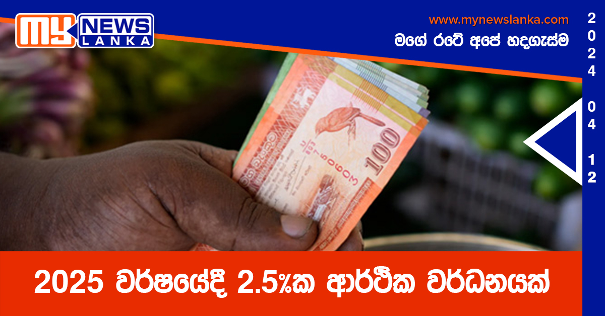 2025 වර්ෂයේදී 2.5%ක ආර්ථික වර්ධනයක් 2025 වර්ෂයේදී 2.5%ක ආර්ථික වර්ධනයක්