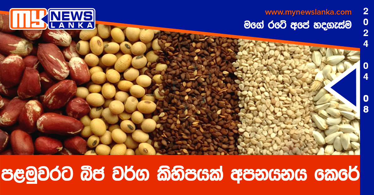 පළමුවරට බීජ වර්ග කිහිපයක් අපනයනය කෙරේ පළමුවරට බීජ වර්ග කිහිපයක් අපනයනය කෙරේ