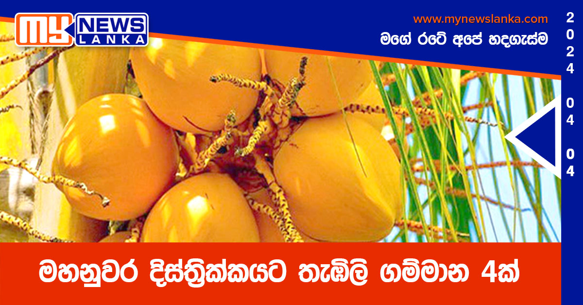 මහනුවර දිස්ත්‍රික්කයට තැඹිලි ගම්මාන 4ක්