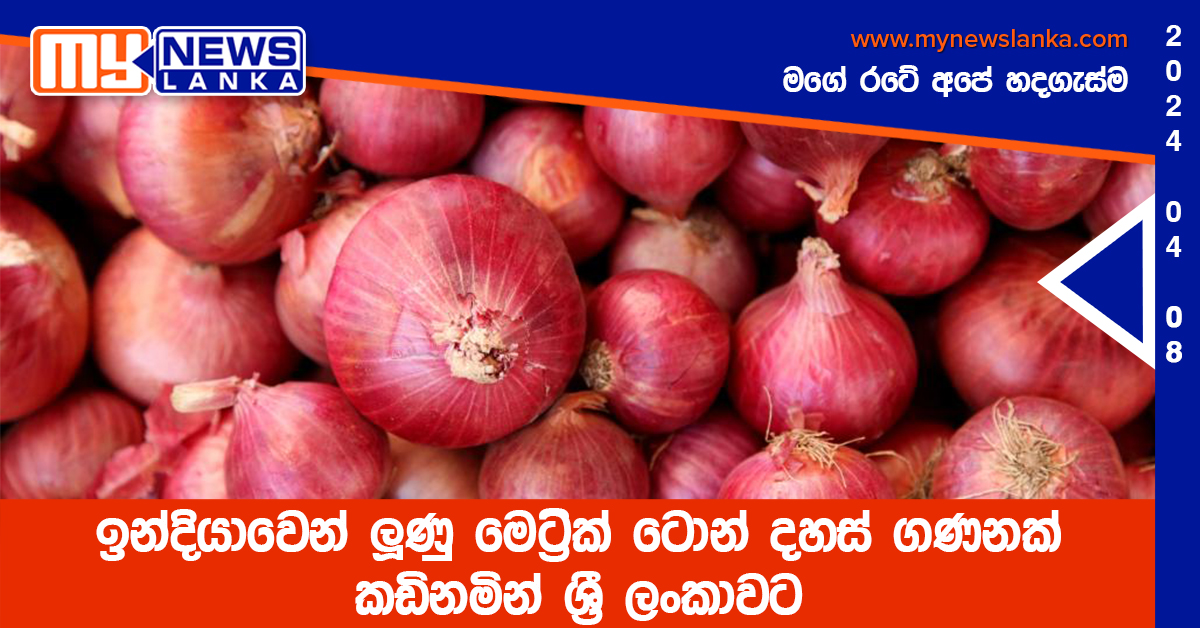 ඉන්දියාවෙන් ලූණු මෙට්‍රික් ටොන් දහස් ගණනක් කඩිනමින් ශ්‍රී ලංකාවට