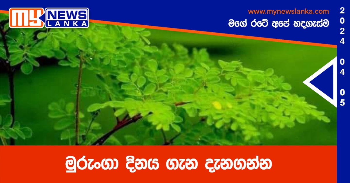 මුරුංගා දිනය ගැන දැනගන්න