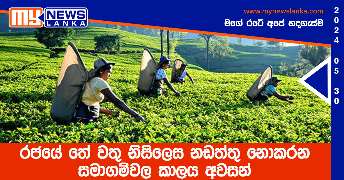 රජයේ තේ වතු නිසිලෙස නඩත්තු නොකරන සමාගම්වල කාලය අවසන්