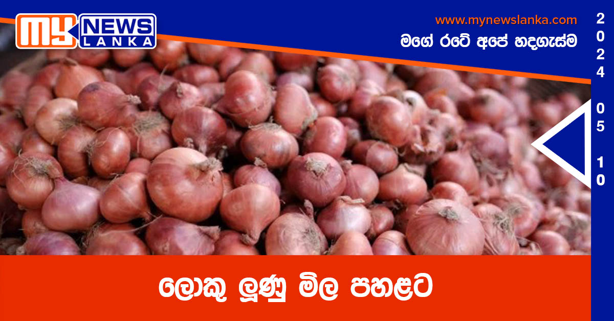 ලොකු ලූණු මිල පහළට ලොකු ලූණු මිල පහළට