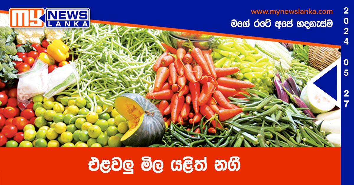 එළවලු මිල යළිත් නගී