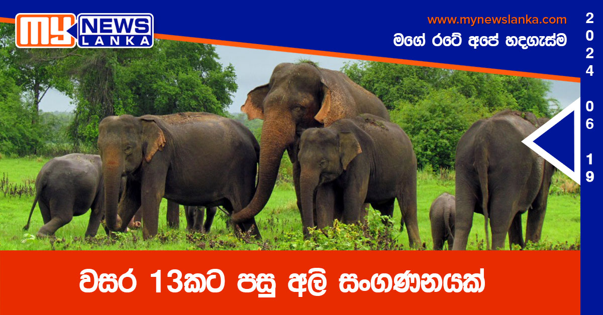 වසර 13කට පසු අලි සංගණනයක්