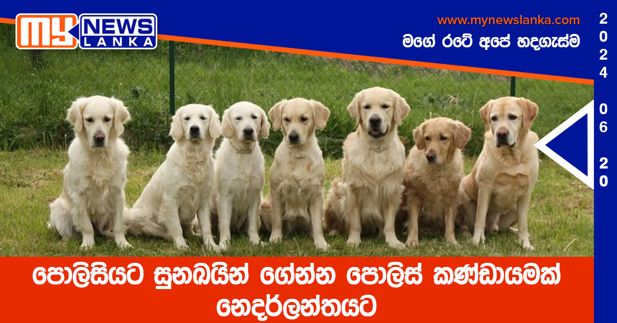 පොලිසියට සුනඛයින් ගේන්න පොලිස් කණ්ඩායමක් නෙදර්ලන්තයට