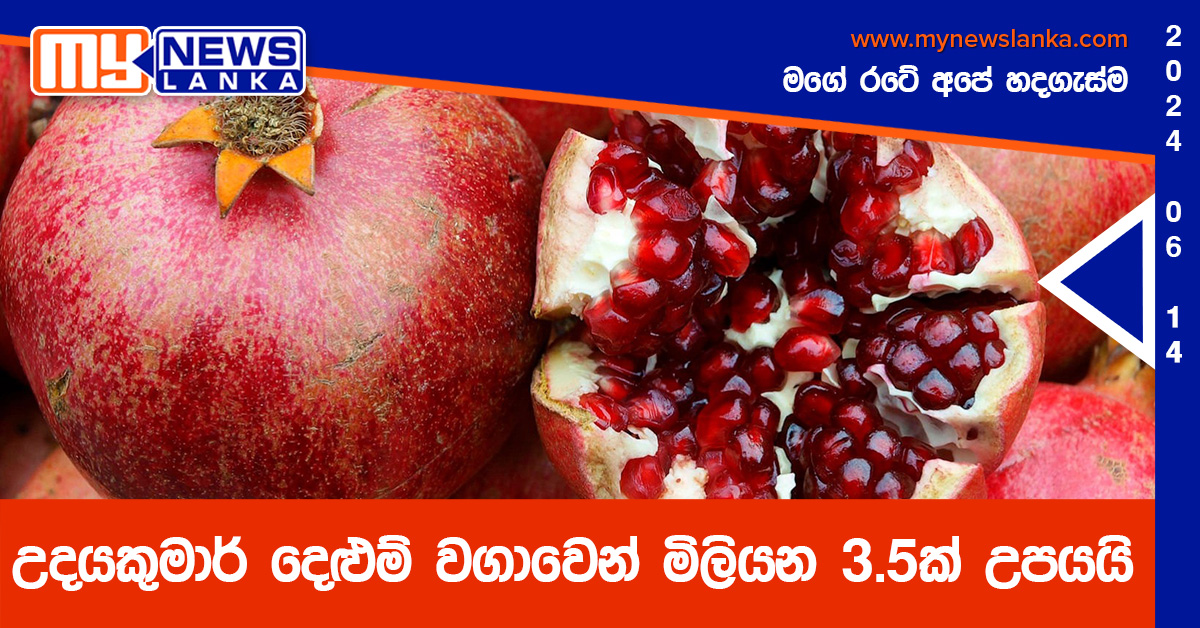 උදයකුමාර් දෙළුම් වගාවෙන් මිලියන 3.5ක් උපයයි