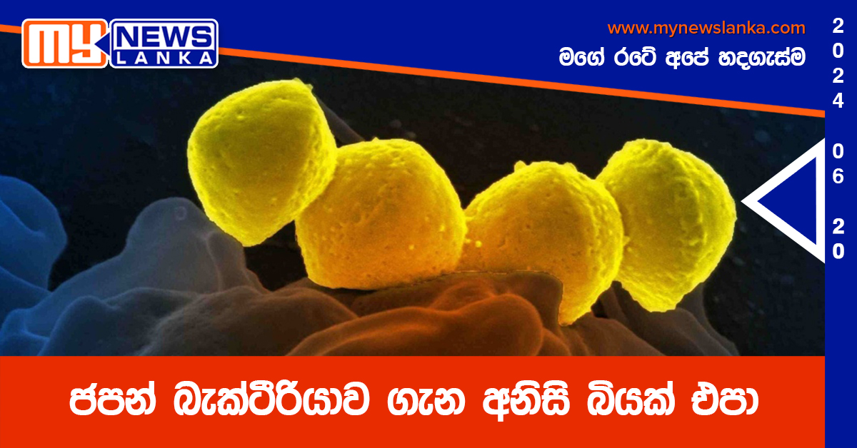 ජපන් බැක්ටීරියාව ගැන අනිසි බියක් එපා