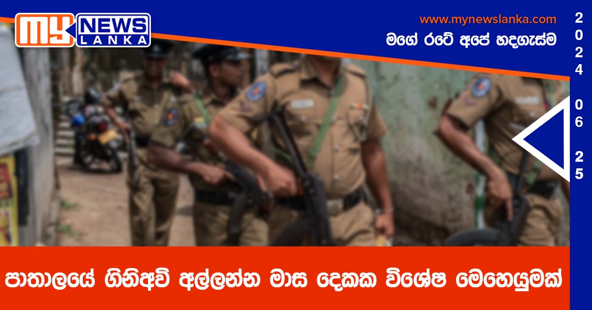 පාතාලයේ ගිනිඅවි අල්ලන්න මාස දෙකක විශේෂ මෙහෙයුමක්