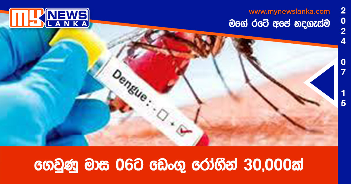 ගෙවුණු මාස 06 ට ඩෙංගු රෝගීන් 30,000ක්