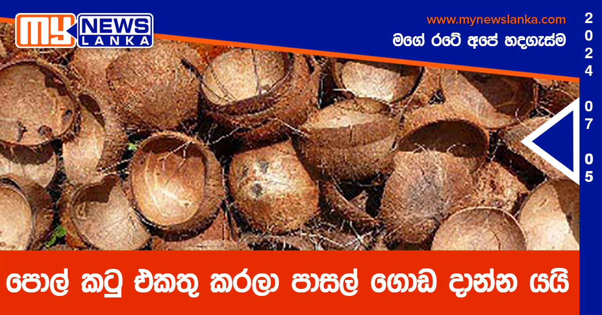 පොල් කටු එකතු කරලා පාසල් ගොඩ දාන්න යයි පොල් කටු එකතු කරලා පාසල් ගොඩ දාන්න යයි