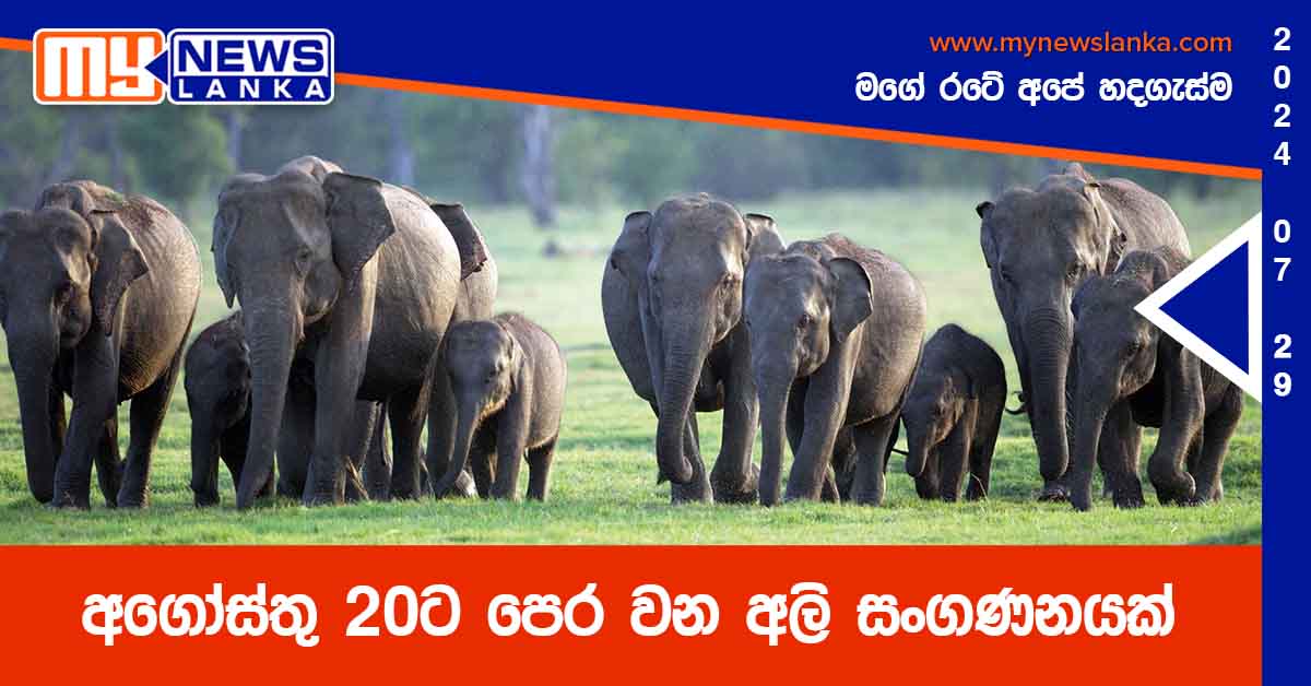 අගෝස්තු 20ට පෙර වන අලි සංගණනයක්