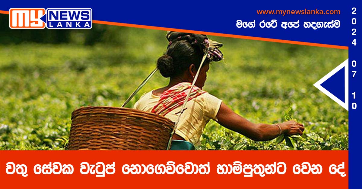 වතු සේවක වැටුප් නොගෙව්වොත් හාම්පුතුන්ට වෙන දේ