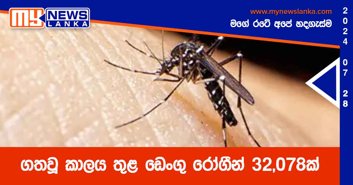 ගතවූ කාලය තුළ ඩෙංගු රෝගීන් 32,078ක්