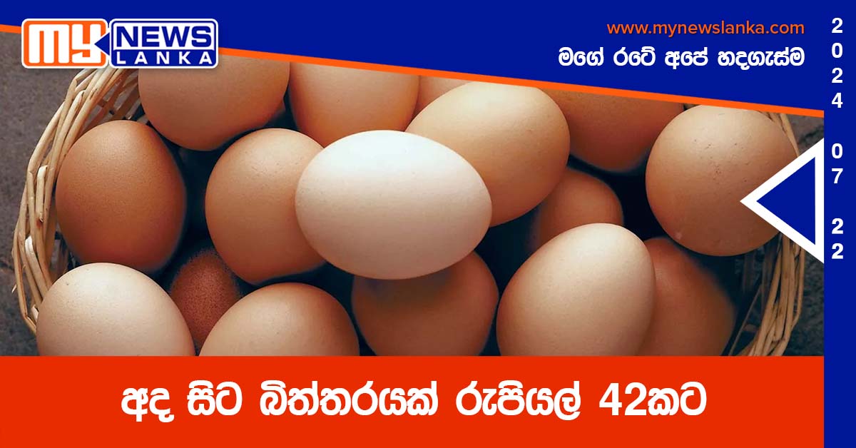 අද සිට බිත්තරයක් රුපියල් 42කට අද සිට බිත්තරයක් රුපියල් 42කට