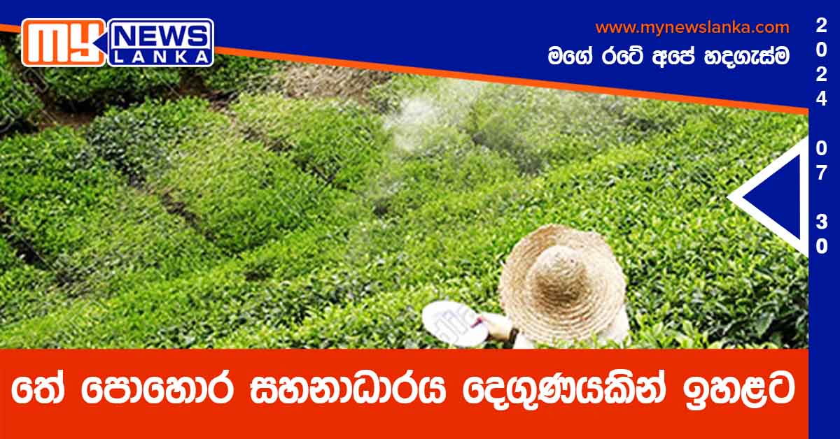 තේ පොහොර සහනාධාරය දෙගුණයකින් ඉහළට තේ පොහොර සහනාධාරය දෙගුණයකින් ඉහළට