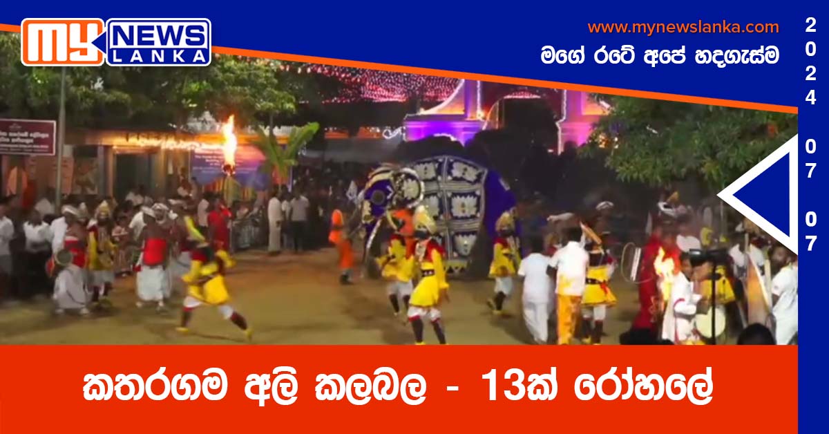 කතරගම අලි කලබල – 13ක් රෝහලේ