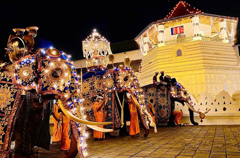 මහනුවර ඇසළ පෙරහරට අලිඇතුන්ගේ හිඟය දැඩිව බලපායි